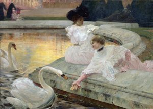 The Swans